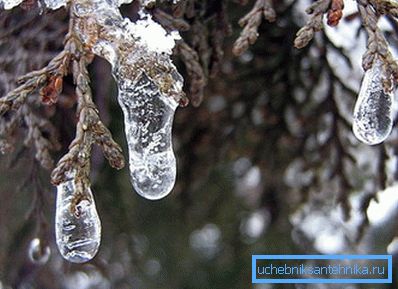 Jeśli temperatura w nocy spadnie poniżej zera, należy wcześniej wyłączyć ogrzewanie Jeśli temperatura w nocy spadnie poniżej zera, należy wcześniej wyłączyć ogrzewanie