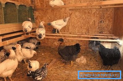 Naturalna opcja odpowiednia dla małych pomieszczeń. Naturalna opcja odpowiednia dla małych pomieszczeń.