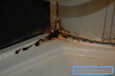Zdjęcie formy w skrzyni prysznicowej Zdjęcie formy w skrzyni prysznicowej
