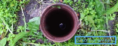 Cóż, zdjęcie Cóż, zdjęcie