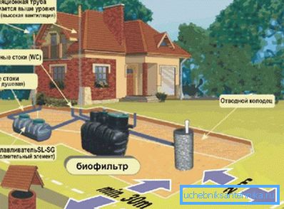Gdzie umieścić szambo