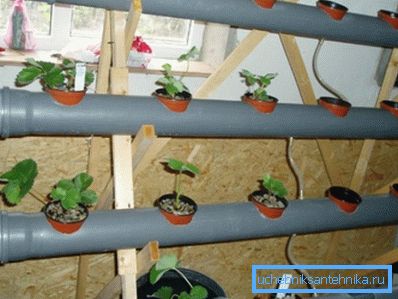 Hydroponiczny system rur kanalizacyjnych Hydroponiczny system rur kanalizacyjnych