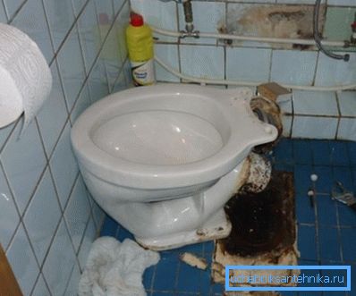 Czasami czyszczenie chodaka wymaga drastycznych środków. Czasami czyszczenie chodaka wymaga drastycznych środków.