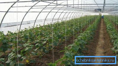 Zastosowany układ grzewczy dobierany jest w zależności od powierzchni struktury agrotechnicznej. Zastosowany układ grzewczy dobierany jest w zależności od powierzchni struktury agrotechnicznej.