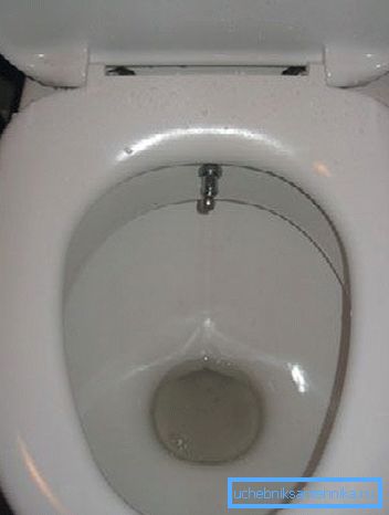Amatorskie zdjęcie najprostszej toalety, na której zainstalowany jest wbudowany system zaopatrzenia w wodę w celu spełnienia funkcji bidetu Amatorskie zdjęcie najprostszej toalety, na której zainstalowany jest wbudowany system zaopatrzenia w wodę w celu spełnienia funkcji bidetu