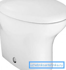 Na zdjęciu - toaleta porcelanowa Na zdjęciu - toaleta porcelanowa