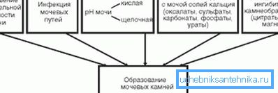 Zdjęcie pokazuje przyczyny kamienia moczowego. Zdjęcie pokazuje przyczyny kamienia moczowego.