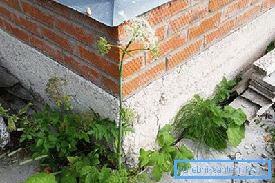 1211 Beton w piwnicy