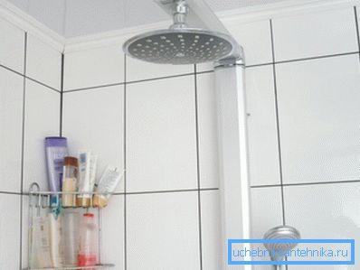 Regularne podlewanie prysznicem to nie wszystko, co wszyscy lubią ... Regularne podlewanie prysznicem to nie wszystko, co wszyscy lubią ...