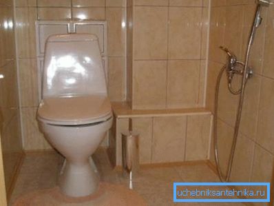 Toalety domowe (na zdjęciu) - świetne rozwiązanie w przystępnej cenie.