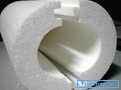 Pianka Shell Pianka Shell