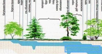 Znalezienie miejsca dla studni może być wspomagane przez samą naturę (patrz opis w tekście) Znalezienie miejsca dla studni może być wspomagane przez samą naturę (patrz opis w tekście)