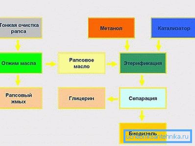 Pobieranie biodiesla z rzepaku. Pobieranie biodiesla z rzepaku.
