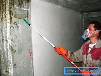 Przyczyny występowania i ukryte niebezpieczeństwo pleśni Przyczyny występowania i ukryte niebezpieczeństwo pleśni