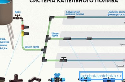 Schemat ideowy nawadniania kroplowego gleby.