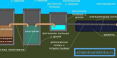 1168 Z polem filtrującym
