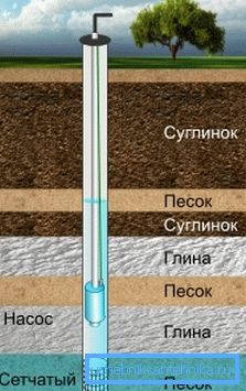 Wzór Wzór