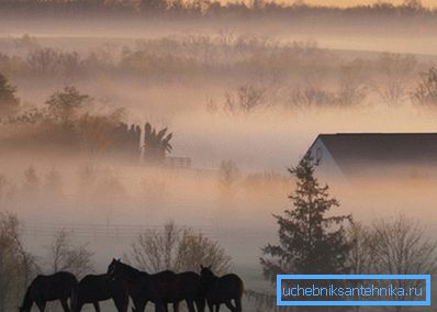 Mgła nad wioską Mgła nad wioską