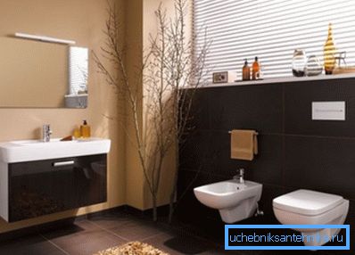Toaleta bez cysterny WC w łazience wnętrza Toaleta bez cysterny WC w łazience wnętrza
