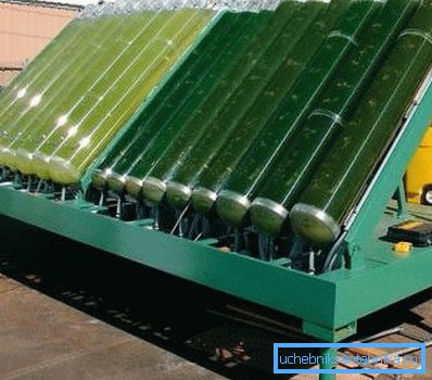 Instalacja do produkcji energii organicznej z alg