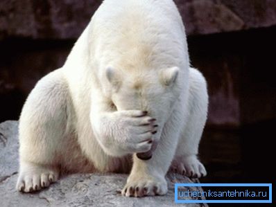 Czy naprawdę wierzysz w naruszenie prawa zachowania energii? Czy naprawdę wierzysz w naruszenie prawa zachowania energii?